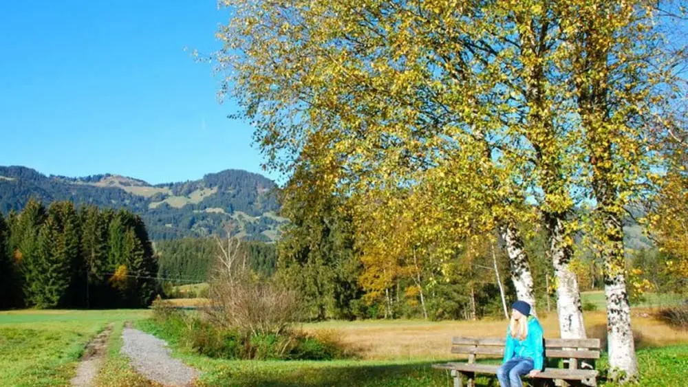 Blick auf den Wanderweg, der durch das Tiefenberger Moos führt