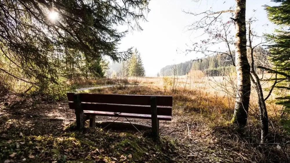 Herbst im Tiefenberger Moor