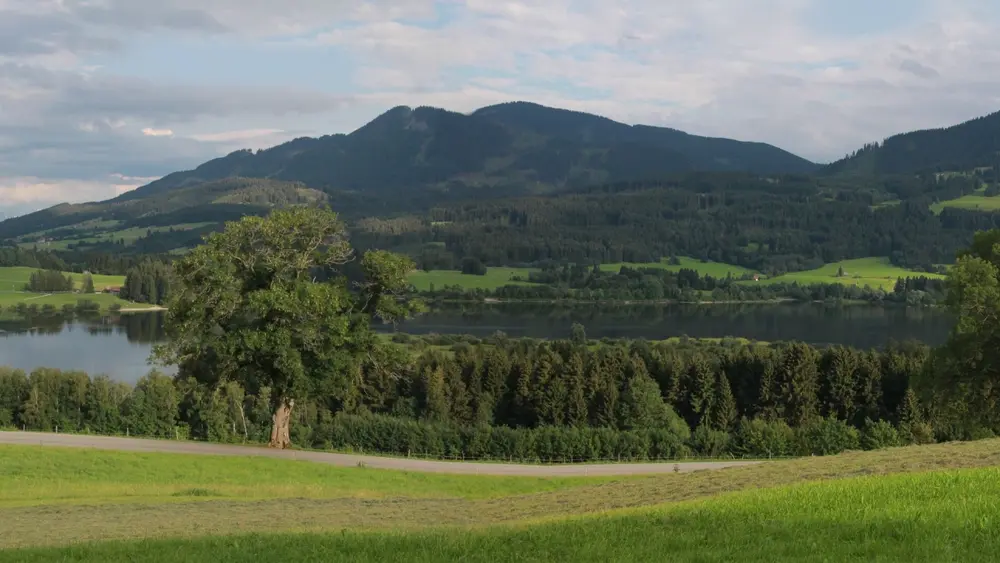 Panorama am Grüntensee