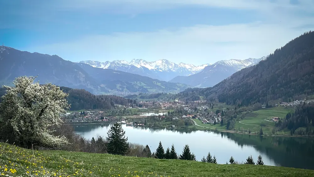Der Große Alpsee im Frühling