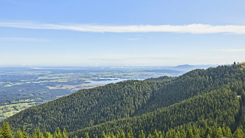 Hörnle Barfuß _Gert Krautbauer W5A0063