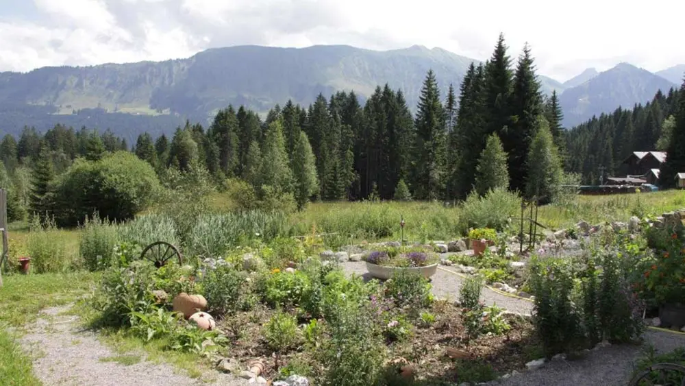 Blick in den Alpenkräutergarten in Riezlern