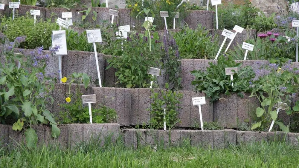 Pflanzsteine mit Kräutern und Infotafeln im Alpenkräutergarten Riezlern