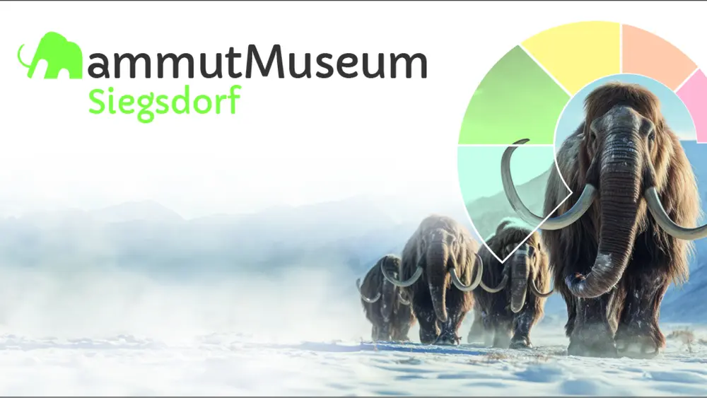 Steinzeit erleben im