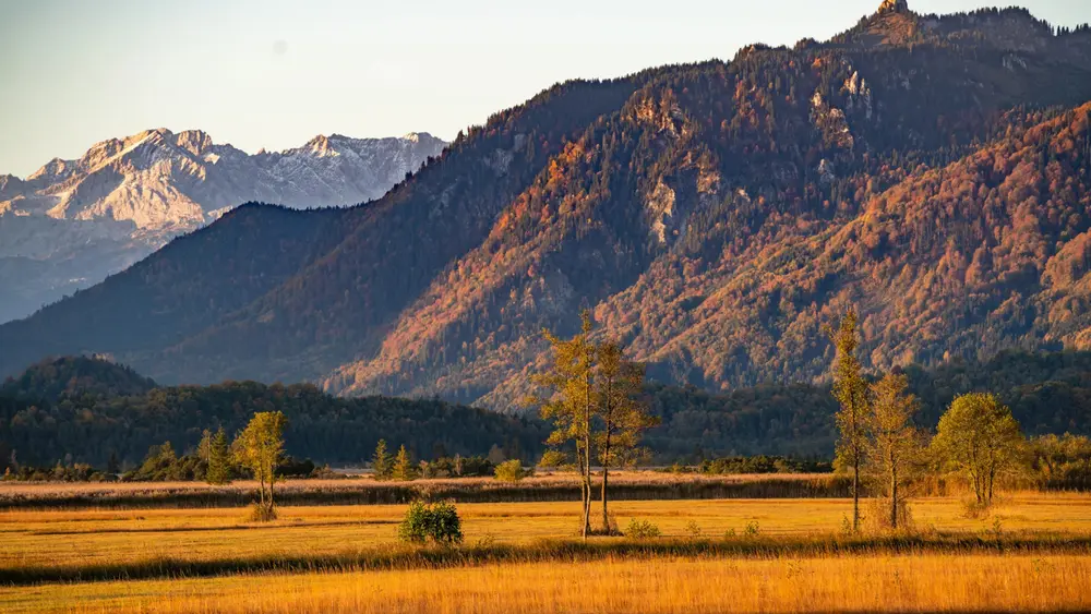 Murnauer Moos im Herbst
