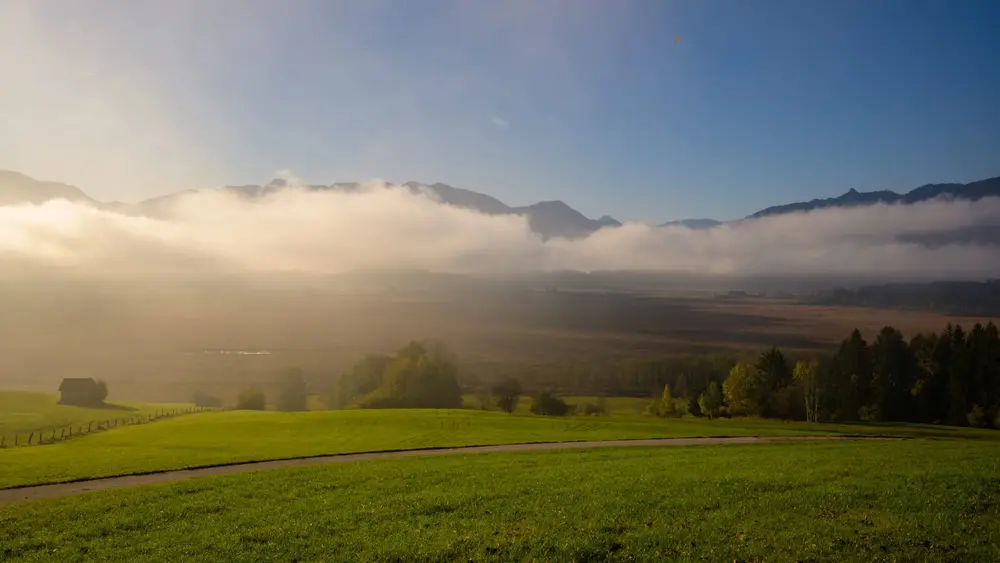 Murnauer Moos bei Nebel