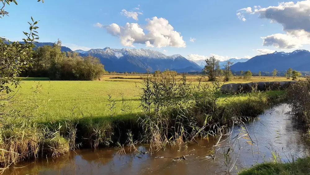 Blick auf Moos mit Bach