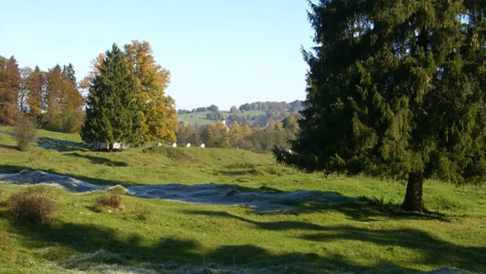 Blick auf einen Teil des Naturerlebnispfads im Ohlstadter Boschet