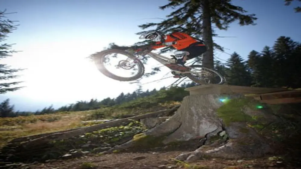 Freeridestrecke Forest Thunder am Grubigstein in Lermoos