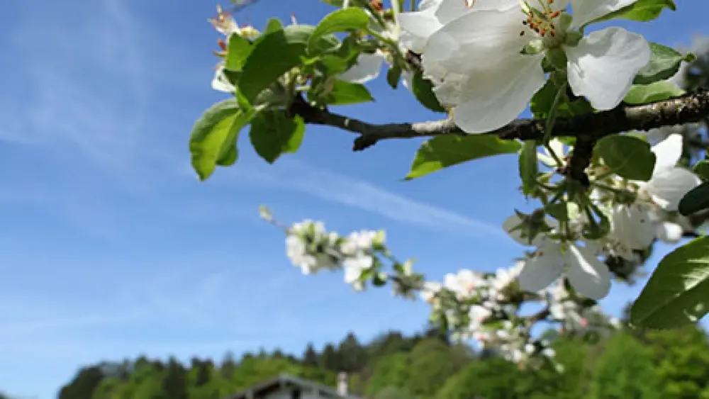 Bauernhausmuseum Amerang