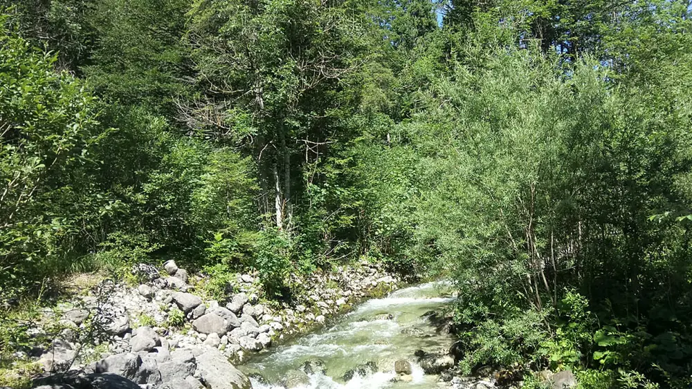 Die Weißach im Landschaftsschutzgebiet Weißachau bei Kreuth