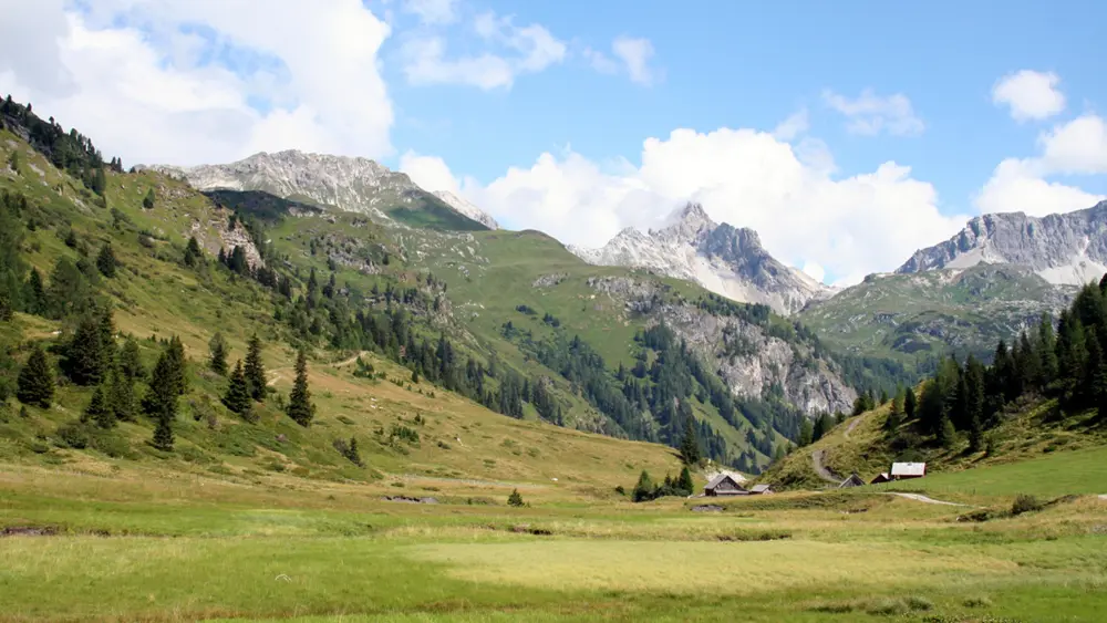 Almwiesen im Riedingtal