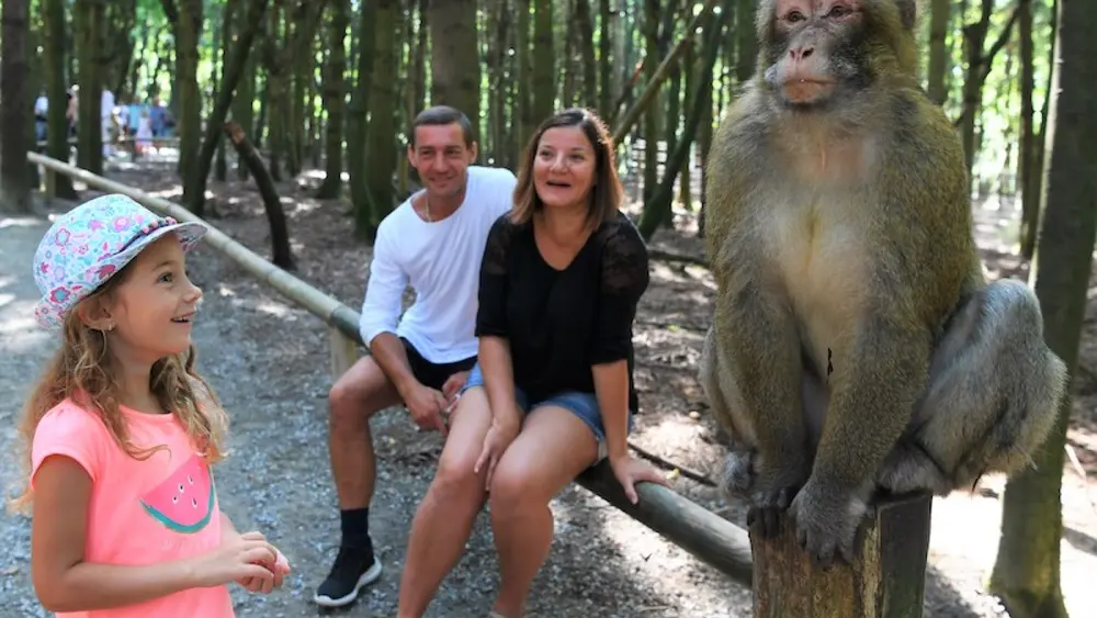 Ein Familienausflug in den Affenberg Salem