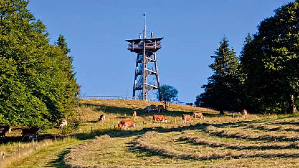 Tolle Aussicht vom Eugen-Keidel-Turm auf dem Schauinsland