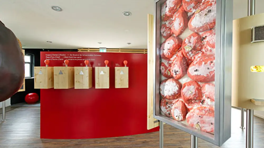 Stationen im Schwarzwälder Schinkenmuseum