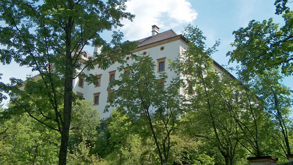 Blick auf Schloss Murau