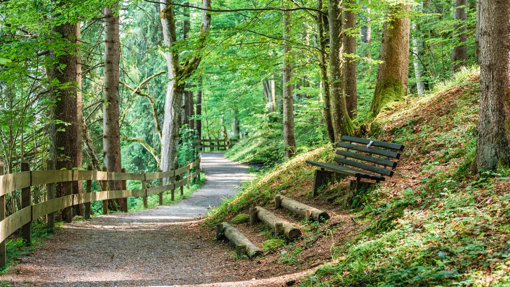 Wohlfühlweg Westendorf