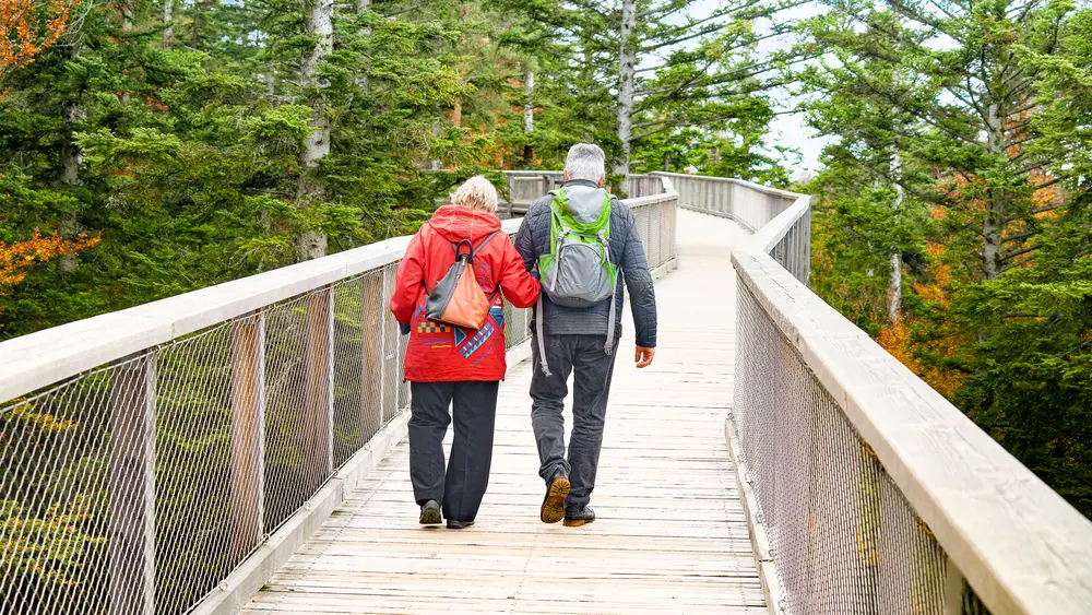 Baumwipfelpfad Schwarzwald
