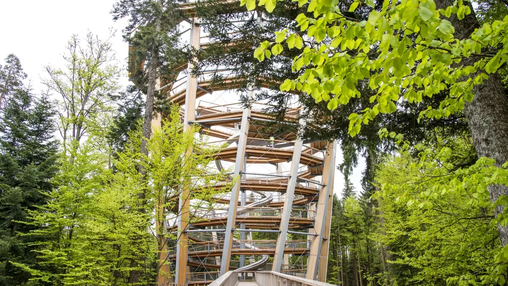 Auf dem Weg zum 40 m hohen Aussichtsturm
