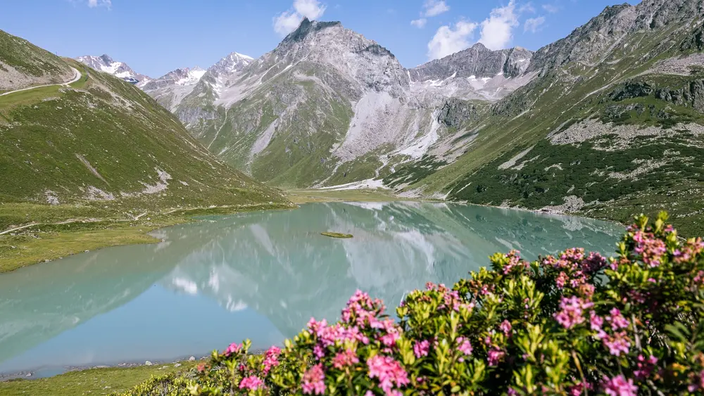 Blick auf den Rifflsee mit Almrosen inmitten der beeidruckenden Pitztaler Bergwelt