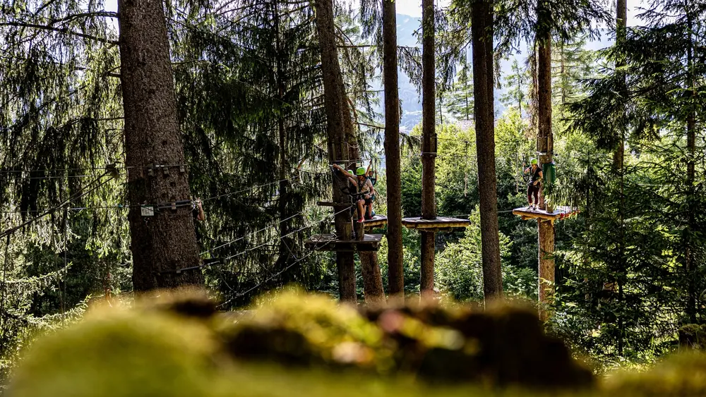 Waldseilpark im XP Alpincenter