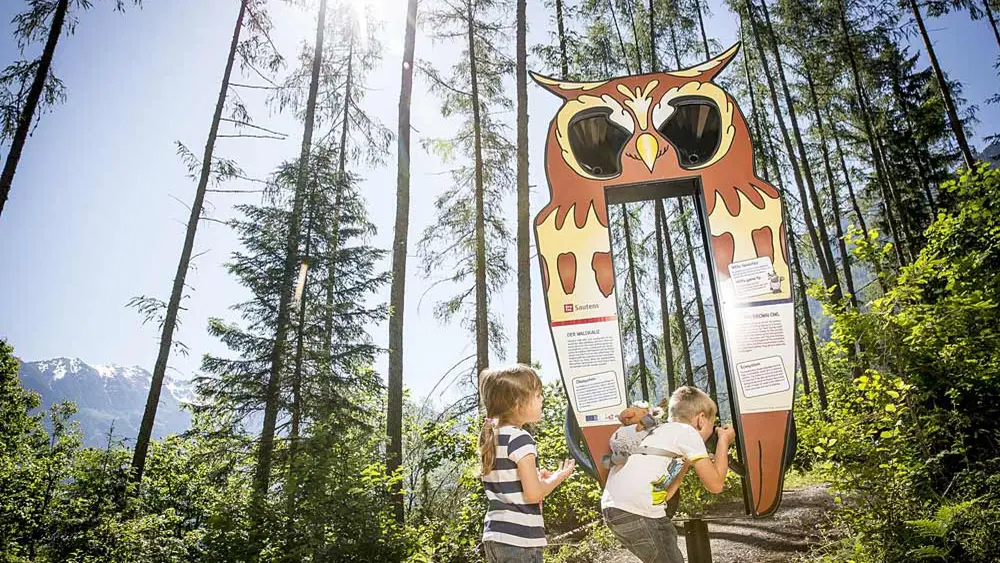 Kinder an einer Eulen-Schautafel im Zauberwald Sautens