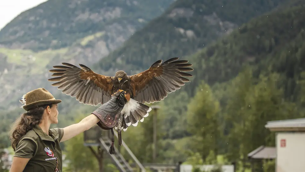 Greifvogelpark Umhausen