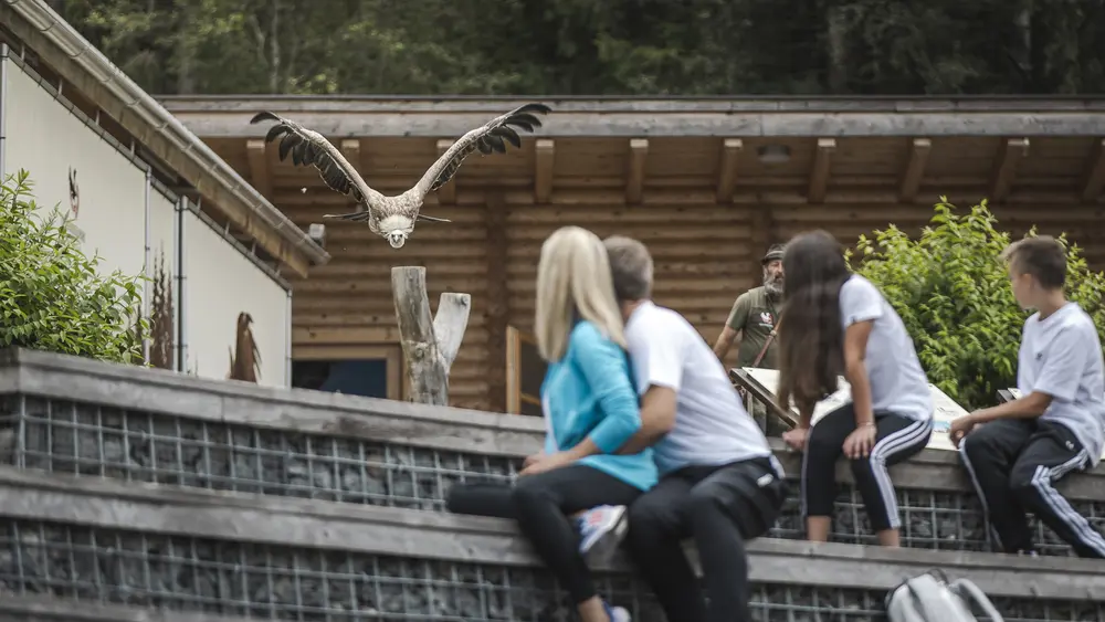 Greifvogelpark Umhausen