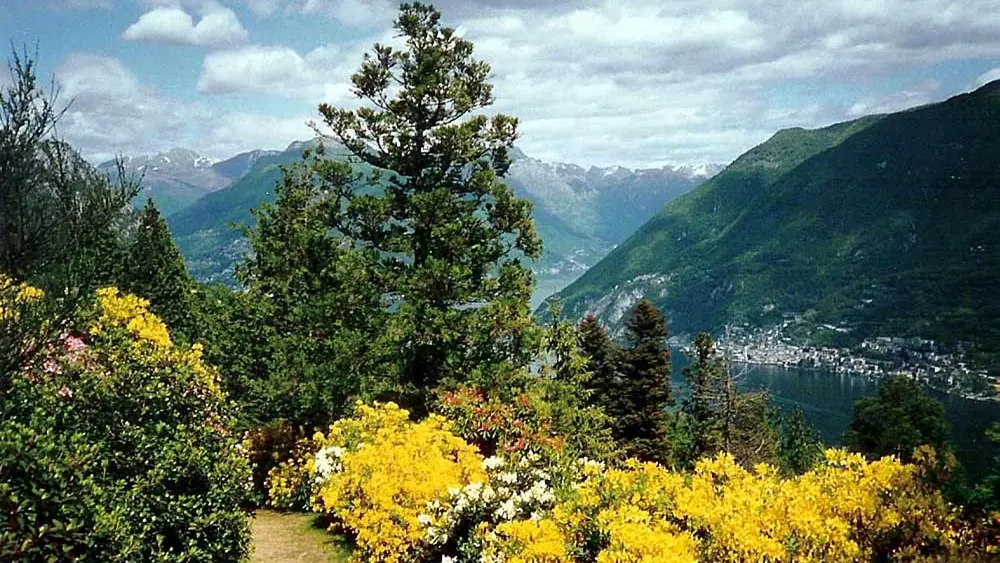Blühende Vielfalt im Parco San Grato mit Blick auf Berge und Luganer See