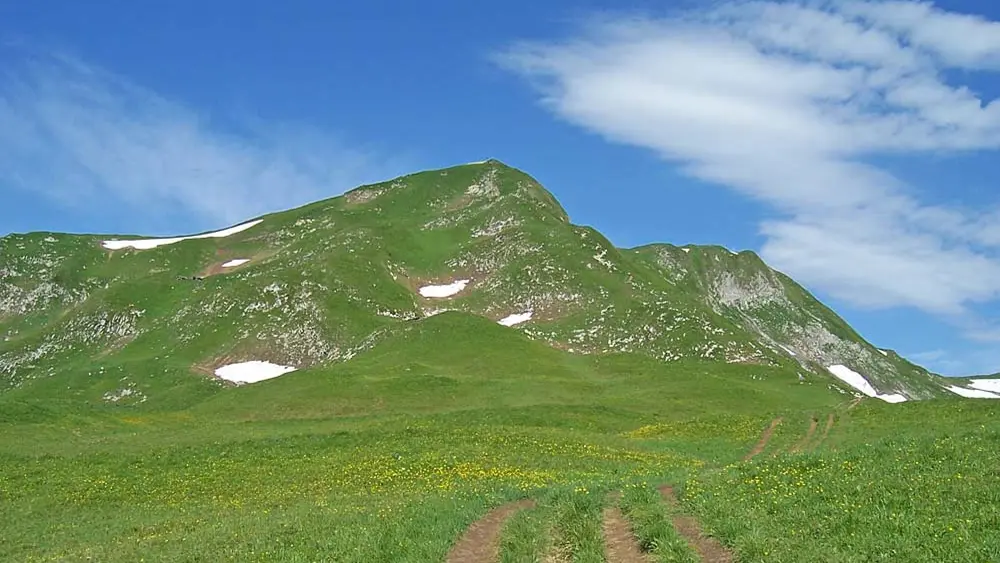 Blick auf den Grasgipfel der Jöchelspitze