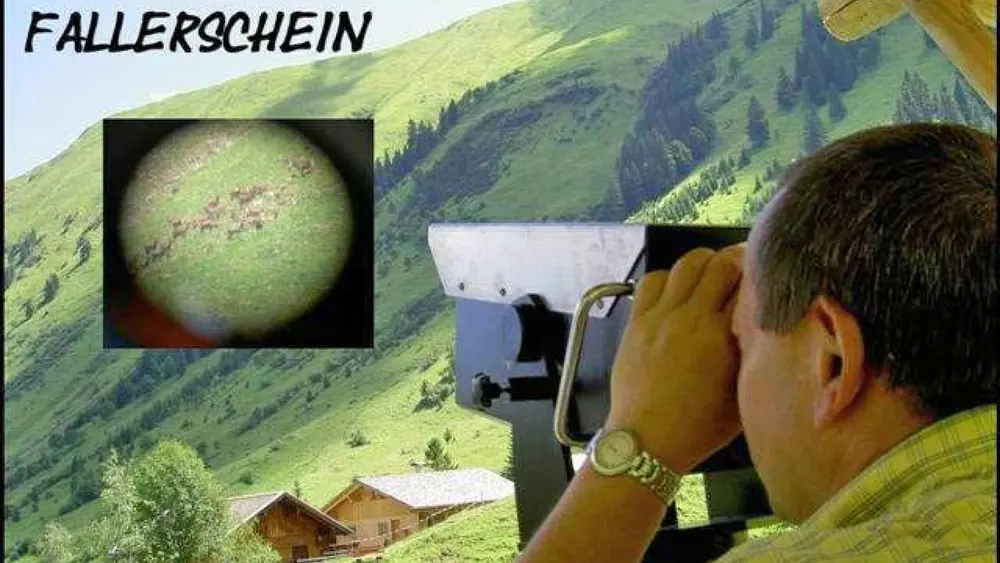 Wildbeobachtungsstand im Almdorf Fallerschein
