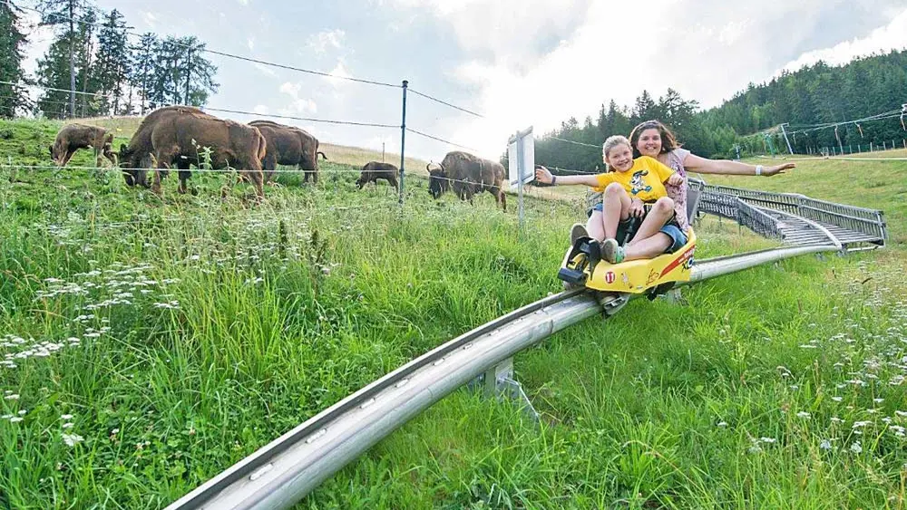 Sommerrodelbahn in der Erlebniswelt Assling