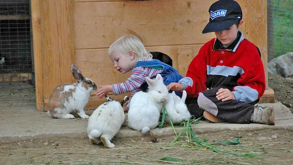 Kinder und Kaninchen im Streichelzoo des Wildparks Assling