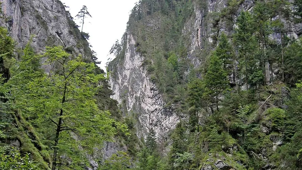 Blick in die Kundler Klamm im Wildschönauer Mühltal