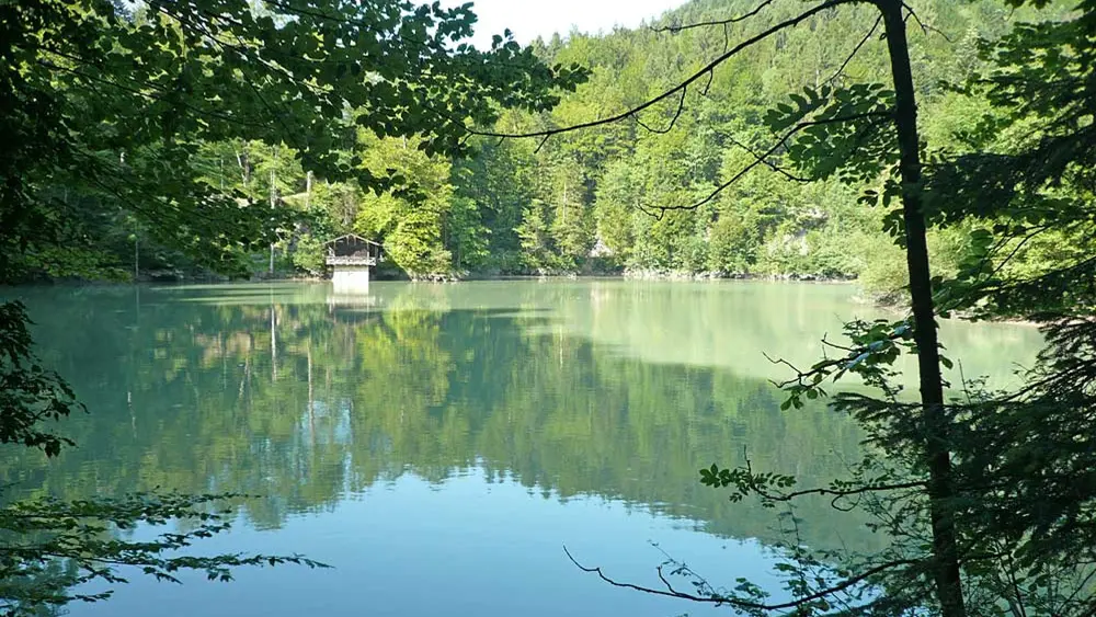 Blick auf den Staufensee bei Dornbirn
