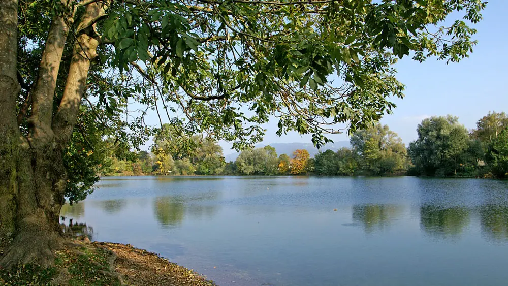 Blick auf den Jannersee bei Lauterach