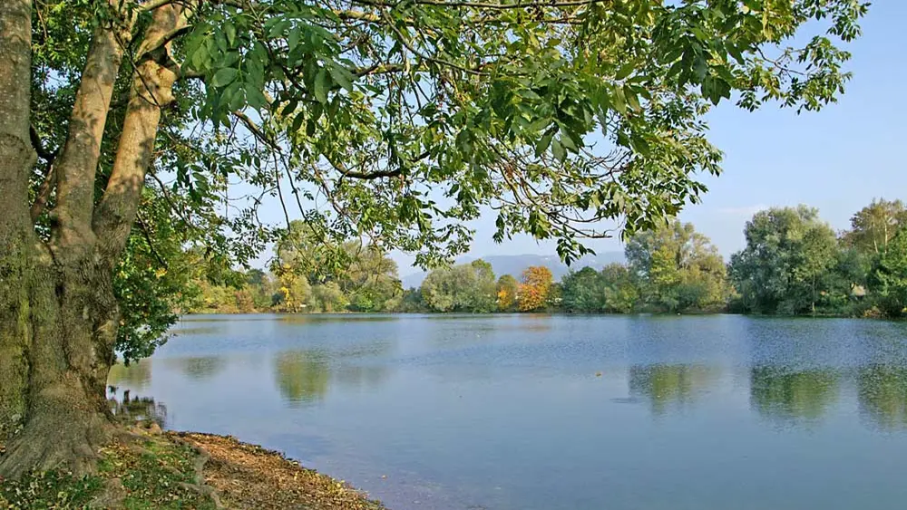 Blick auf den Jannersee im Naturschutzgebiet Lauteracher Ried