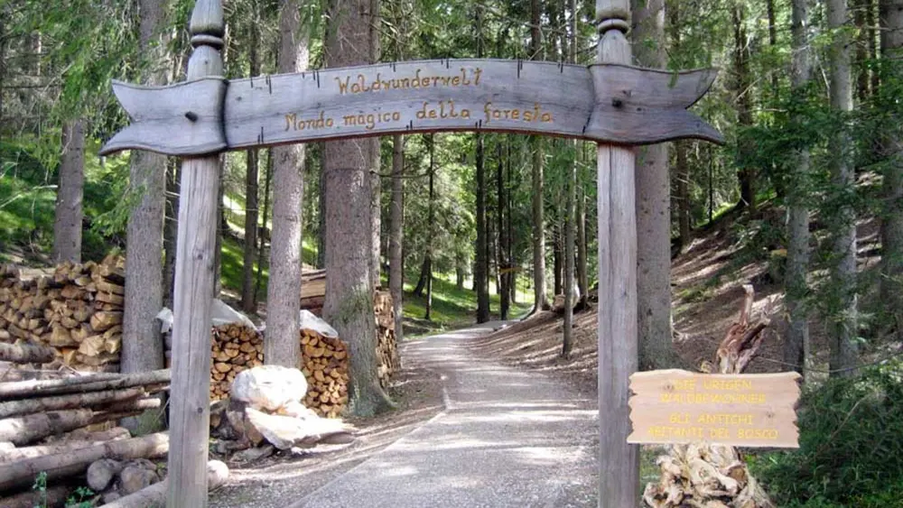 Hölzerner Eingang zum Biomasse-Lehrpfad Toblach