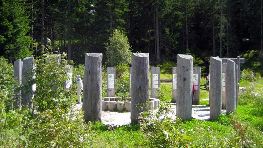 Keltisches Baumhoroskop auf dem Biomasse-Lehrpfad Toblach