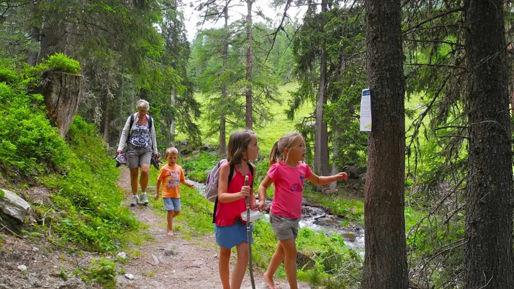 Frau mit Kindern auf dem Barfußpfad Nendaz im Wald