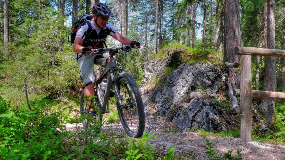 Mountainbiker auf einem Waldtrail bei Toblach