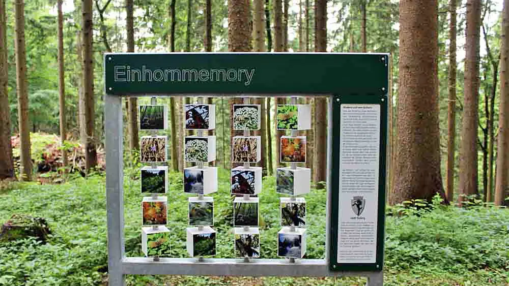 Einhornmemory auf dem Waldlehrpfad Bludenz
