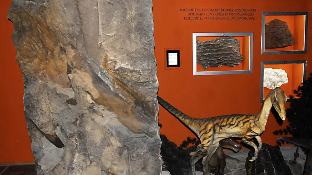 Exponate in der Abteilung Dinosaurierzeit des DoloMythos-Museums Innichen