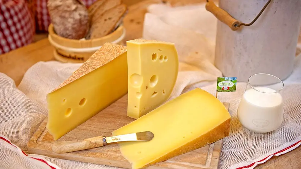 Käse zur Verkostung im Alpsennereimuseum Hittisau