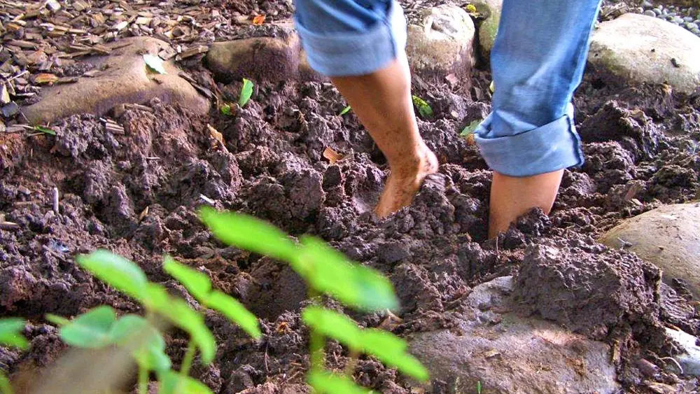 Waten im Schlamm auf dem Barfuß-Fitness-Parcours in Riefensberg