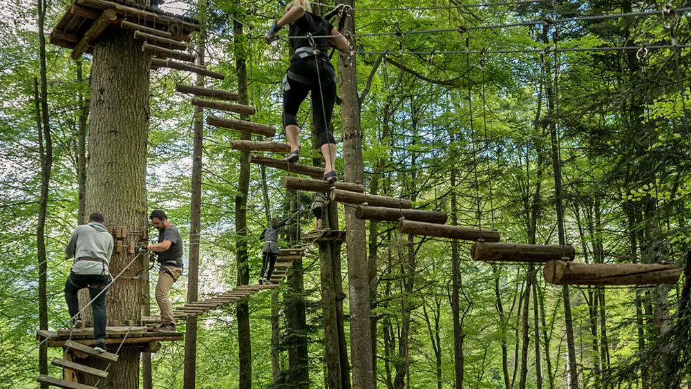 Klettern im Seilpark Interlaken