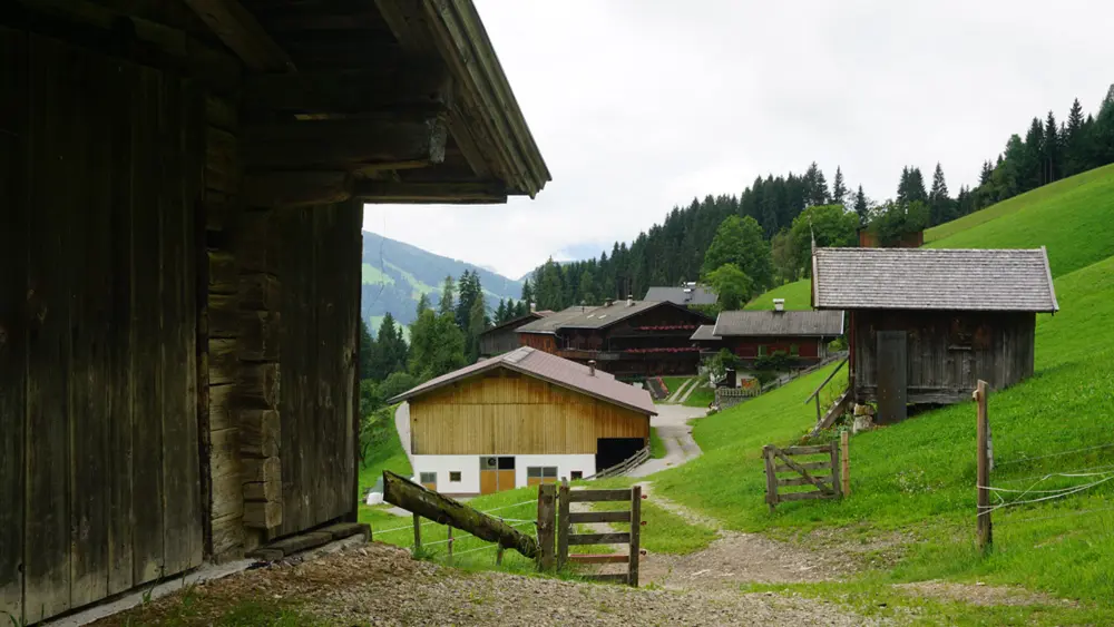 Ausblick auf Alpbacher Häuser vom Heimatkundeweg