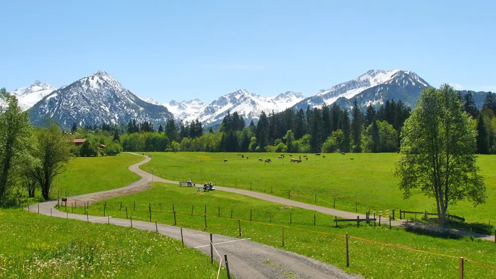 Allgäuer und Kleinwalsertaler Alpen