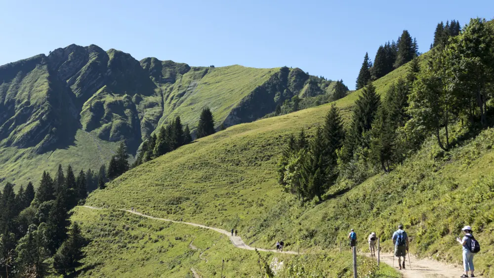 Weg zur Sölleralpe