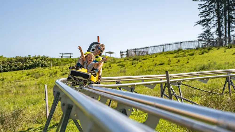 Timoks Wilde Welt in Fieberbrunn